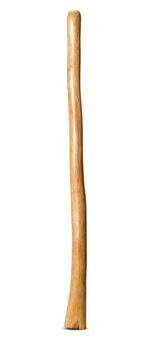 Medium Size Natural Finish Didgeridoo (TW1744)